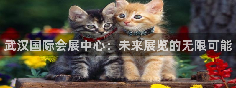 果博平台开户电话查询