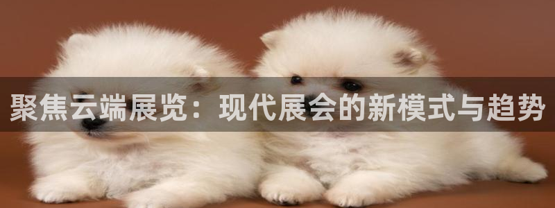 果博手机下载网址：聚焦云端展览：现代展会的新模式与趋势