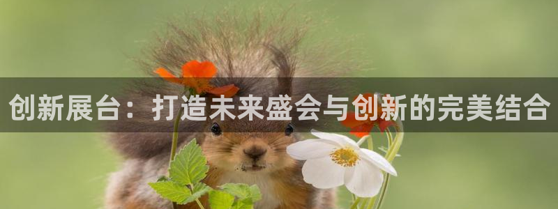果博注册客服电话号码是多少：创新展台：打造未来盛会与创新的完美结合