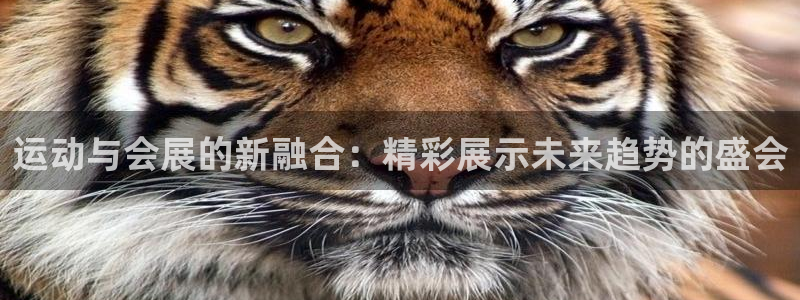 苹果电脑怎么下载博弈大师等软件：运动与会