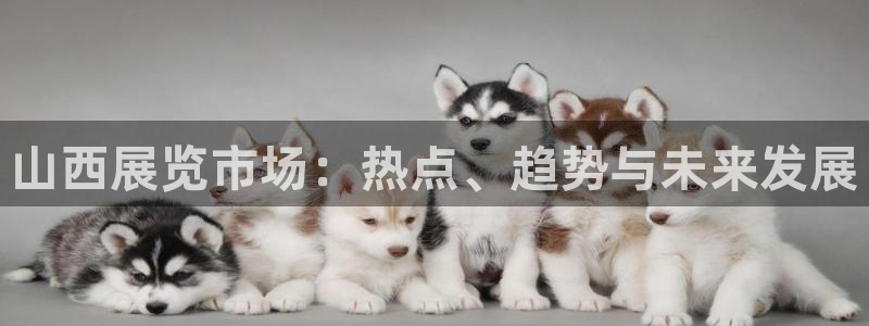 果搏东方客服：山西展览市场：热点、趋势与未来发展