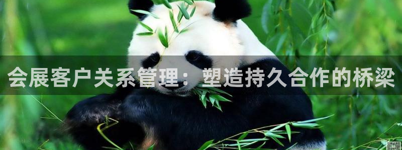 果博注册会员多少钱：会展客户关系管理：塑造持久合作的桥梁