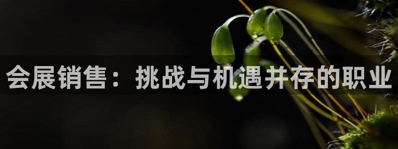 果博代理电话多少：会展销售：挑战与机遇并存的职业