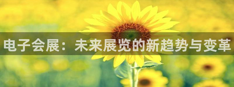 果博环保官网：电子会展：未来展览的新趋势与变革