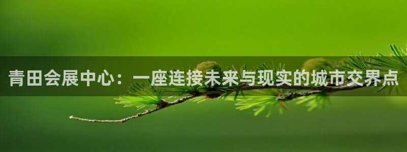 果博平台真实吗安全吗：青田会展中心：一座连接未来与现实的城市交界点