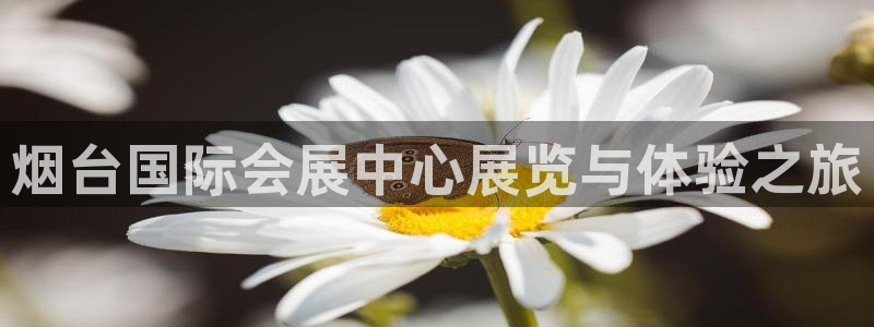 果博公司上分客服：烟台国际会展中心展览与体验之旅