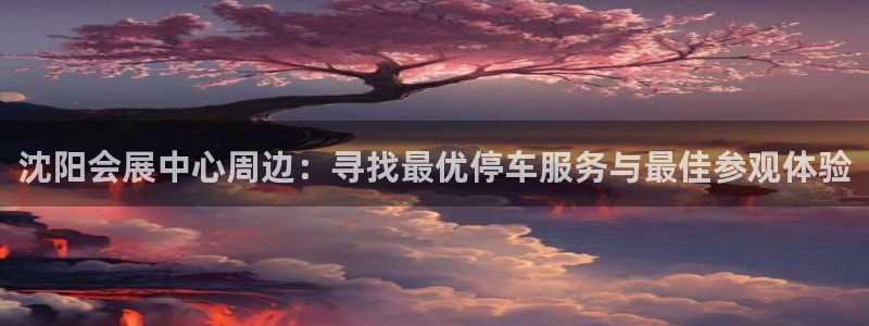 果博代理：沈阳会展中心周边：寻找最优停车服务与最佳参观体验