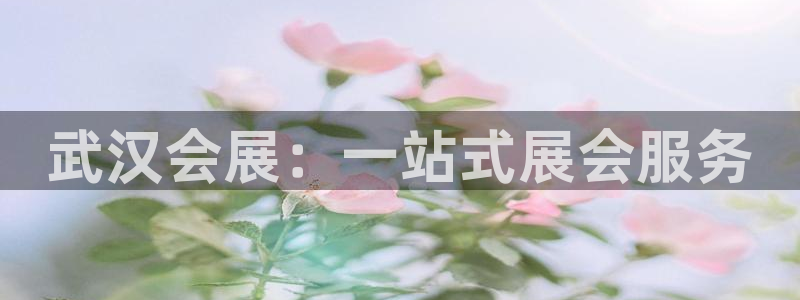 果博平台怎么下载?：武汉会展：一站式展会服务
