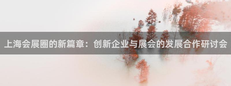 果博公司在线客服：上海会展圈的新篇章：创