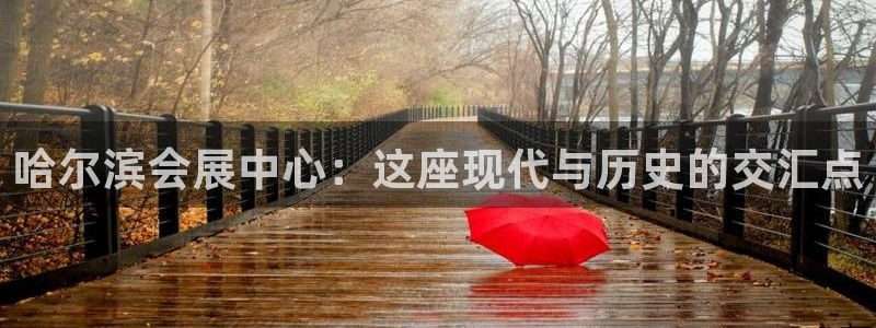 果博平台真实吗安全吗是真的吗：哈尔滨会展