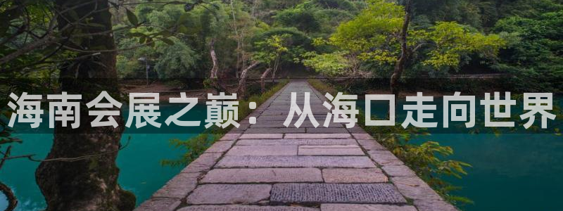 果博手机下载：海南会展之巅：从海口走向世界