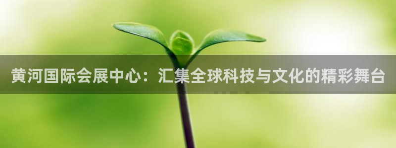 果博平台真实吗知乎怎么样：黄河国际会展中心：汇集全球科技与文化的精彩舞台