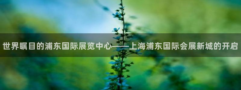 果博注册客服电话号码查询：世界瞩目的浦东国际展览中心——上海浦东国际会展新城的开启