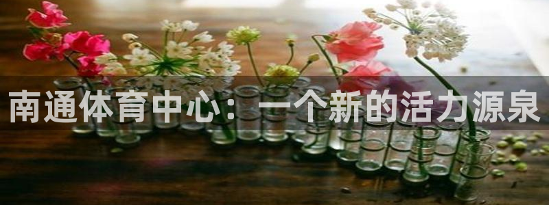 果博东手机版下载开户：南通体育中心：一个