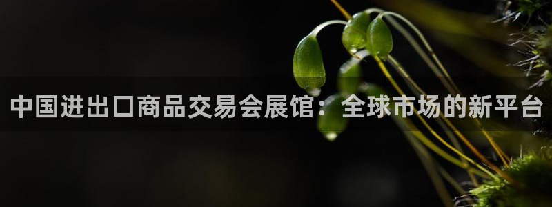 果博公司客服：中国进出口商品交易会展馆：