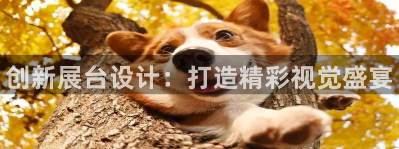 果博客服电话：创新展台设计：打造精彩视觉