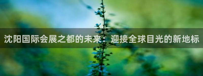 果博公司客服微信：沈阳国际会展之都的未来