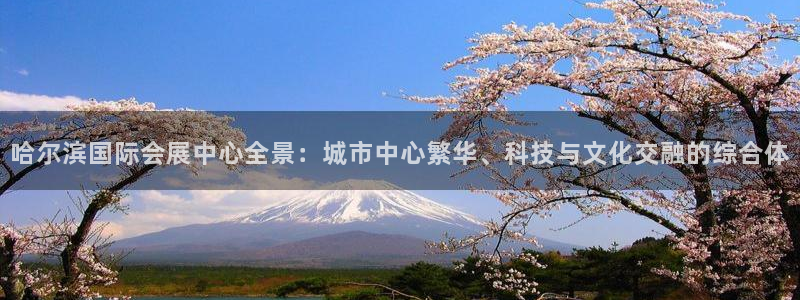 果博平台真实吗知乎推荐：哈尔滨国际会展中