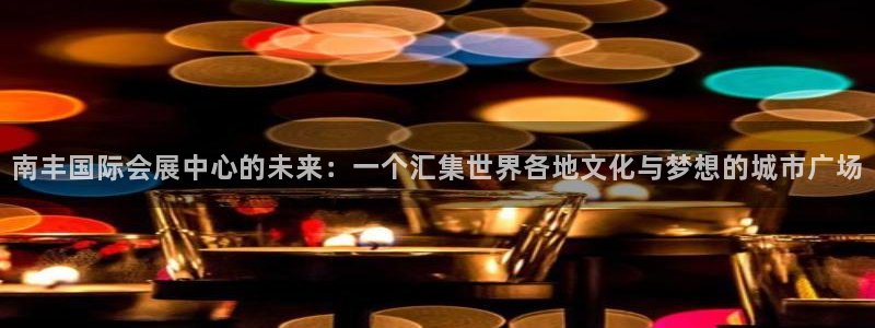 果搏代理：南丰国际会展中心的未来：一个汇