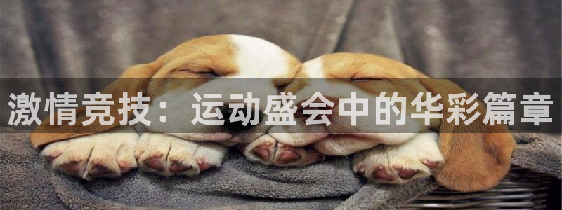 果博注册平台怎么注册的：激情竞技：运动盛会中的华彩