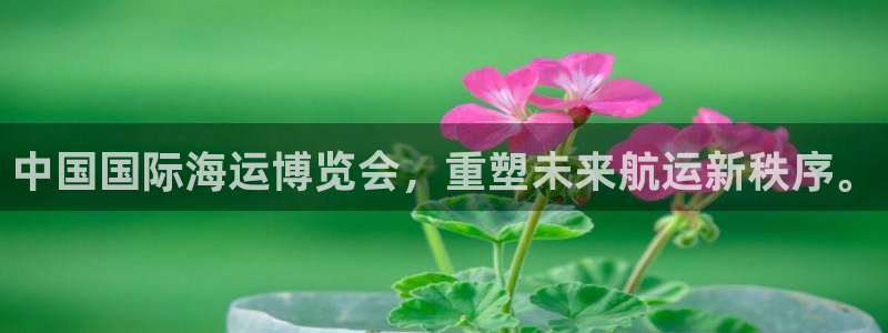 果博公司会员账号开户：中国国际海运博览会