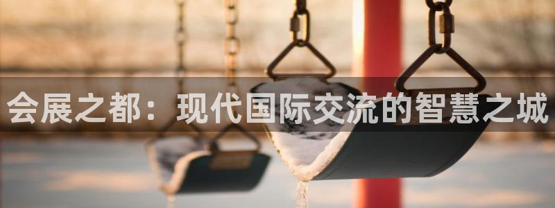 果博手机下载网址：会展之都：现代国际交流