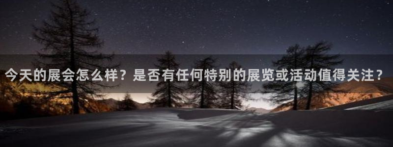 果博东官方网站怎么下载：今天的展会怎么样