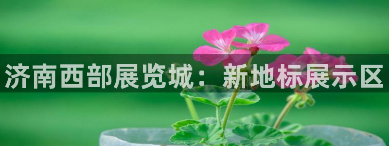 果博公司会员注册账号开户：济南西部展览城