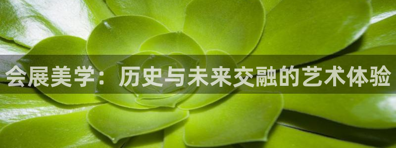 果博公司客服电话：会展美学：历史与未来交融的艺术体验
