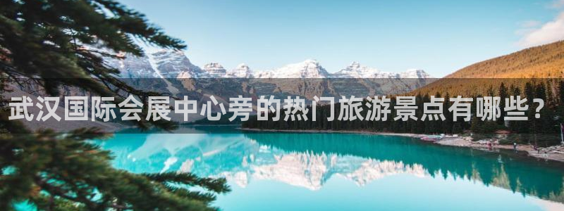 果博官网客服电话号码:武汉国际会展中心旁