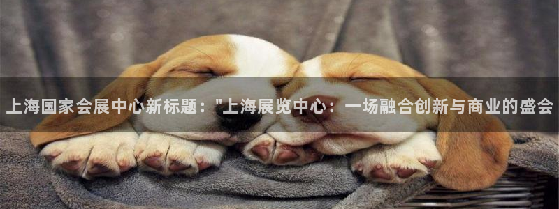 果博app官网下载：上海国家会展中心新标题：\
