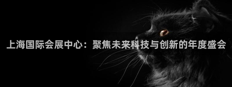 果博注册平台:上海国际会展中心:聚焦未来