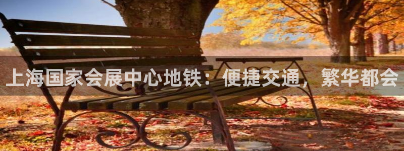 果博官网在银博：上海国家会展中心地铁：便捷交通，繁华都会