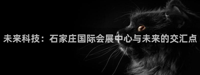 果博平台开户电话号码：未来科技：石家庄国