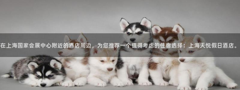果博平台电话：在上海国家会展中心附近的酒店周边，为您推荐一个值得考虑的住宿选择：上海天悦假日酒店。