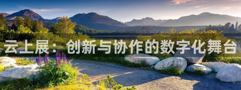 果博注册链接：云上展：创新与协作的数字化舞台