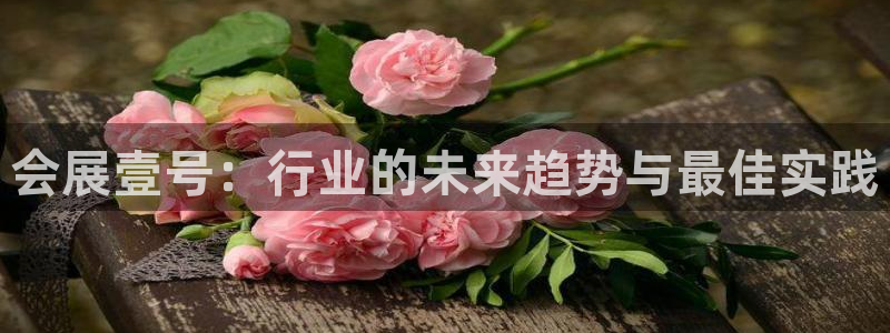 果博注册链接：会展壹号：行业的未来趋势与最佳实践