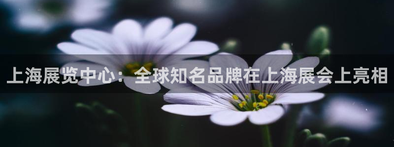 果博公司上分客服：上海展览中心：全球知名品牌在上海展会上亮相