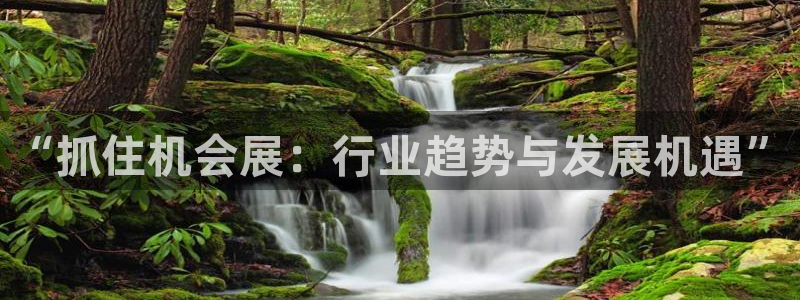 果博注册会员怎么注销：“抓住机会展：行业