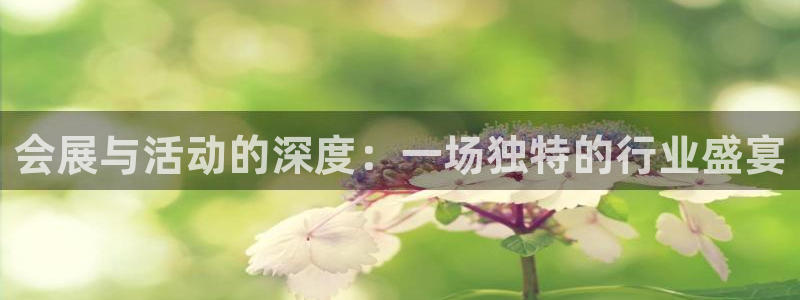 果博手机版官方下载：会展与活动的深度：一