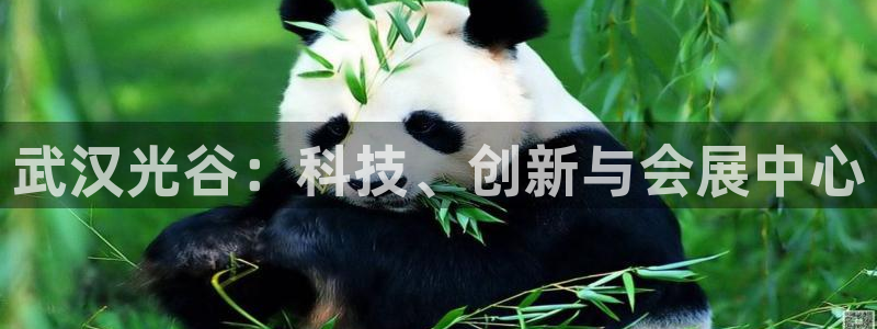 果博公司客服怎么样：武汉光谷：科技、创新与会展中心