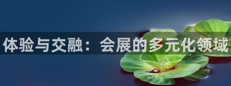 果博公司游戏网址：体验与交融：会展的多元化领域