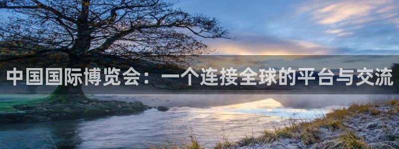 果博官网首页：中国国际博览会：一个连接全球的平台与交流
