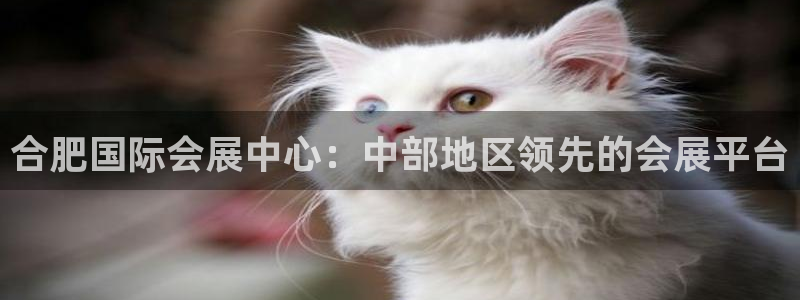 苹果电脑怎么下载伯索：合肥国际会展中心：