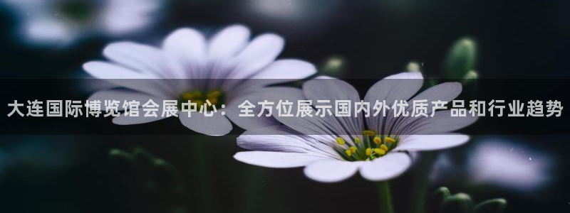 果博平台真实吗安全吗可靠吗：大连国际博览馆会展中心