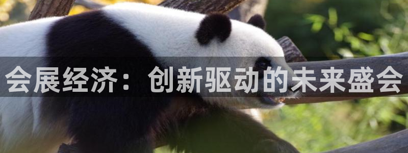果博代理：会展经济：创新驱动的未来盛会