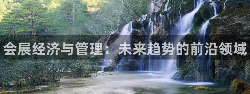 下载果博博东方下载：会展经济与管理：未来