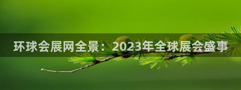 果博上分电话：环球会展网全景：2023年