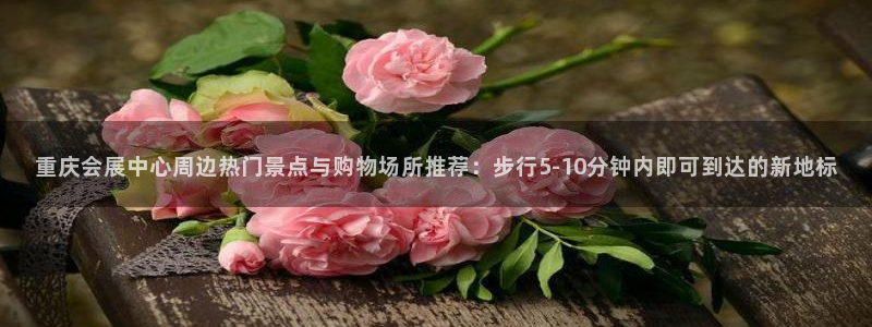 果博平台开户电话号码：重庆会展中心周边热