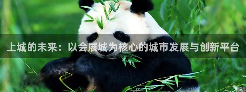 果博代理电话多少号码：上城的未来：以会展城为核心的城市发展与创新平台